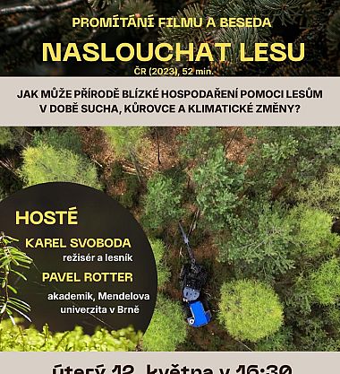 Naslouchat lesu