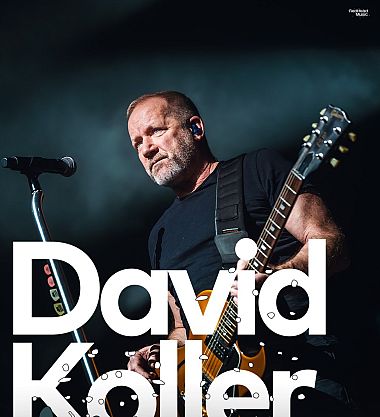 David Koller