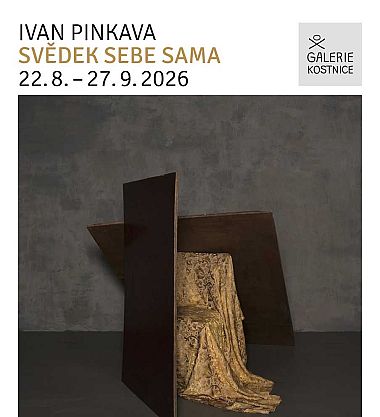 Ivan Pinkava – Svědek sebe sama
