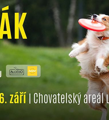 Fešák pes aneb Punťašou