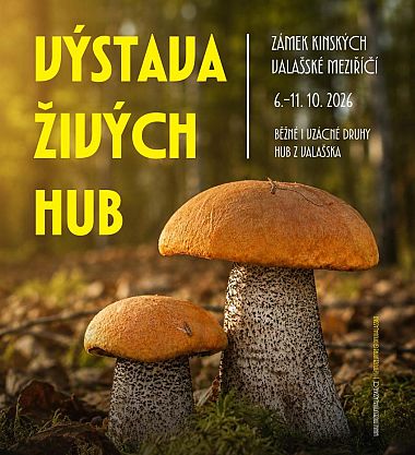Výstava živých hub