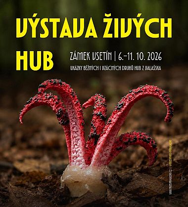 Výstava živých hub